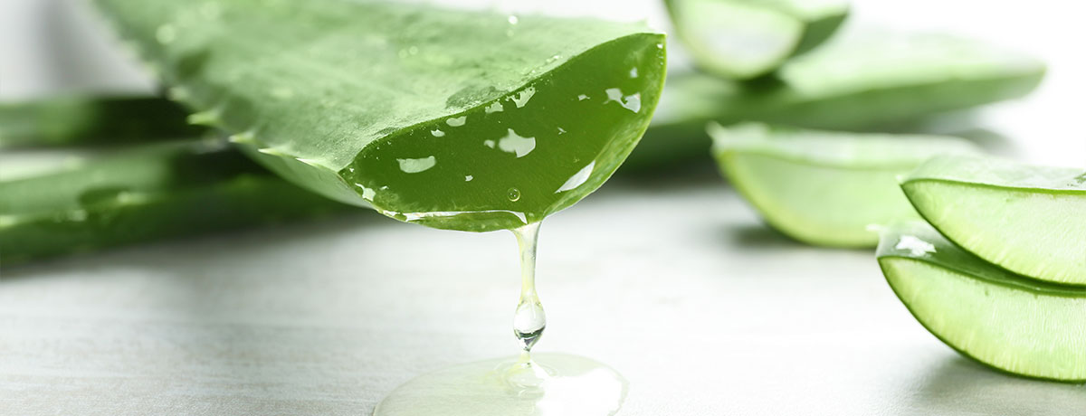 Aloes ukoi każdą skórę